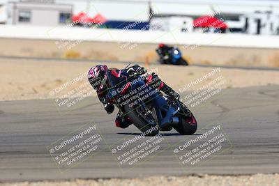 media/Jan-08-2022-SoCal Trackdays (Sat) [[1ec2777125]]/Turn 14 Outside (1050am)/